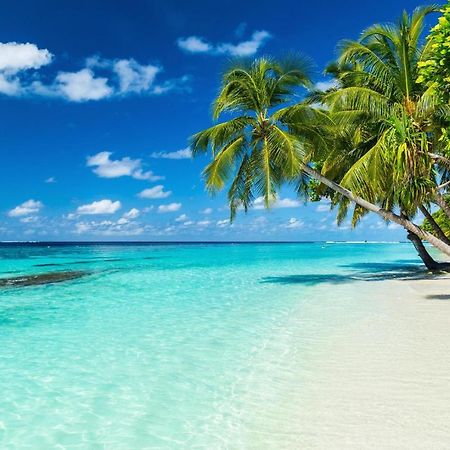 Equa Reef Maldives Hotel Addu City Exterior foto