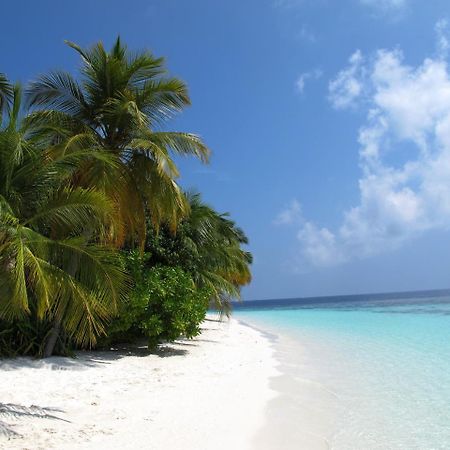 Equa Reef Maldives Hotel Addu City Exterior foto