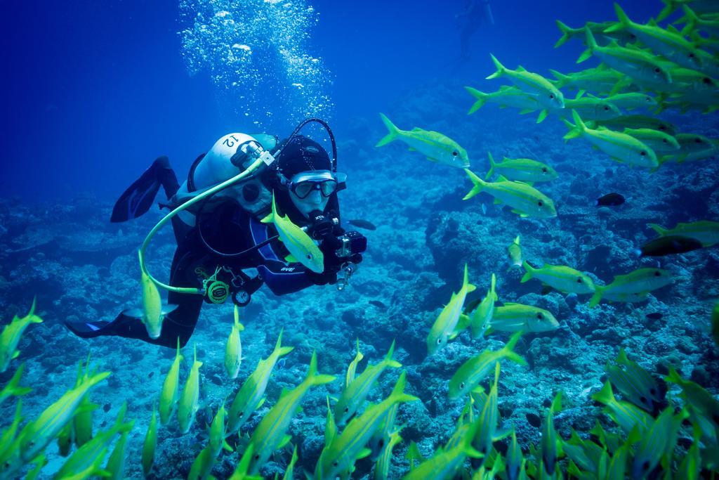 Equa Reef Maldives Hotel Addu City Exterior foto