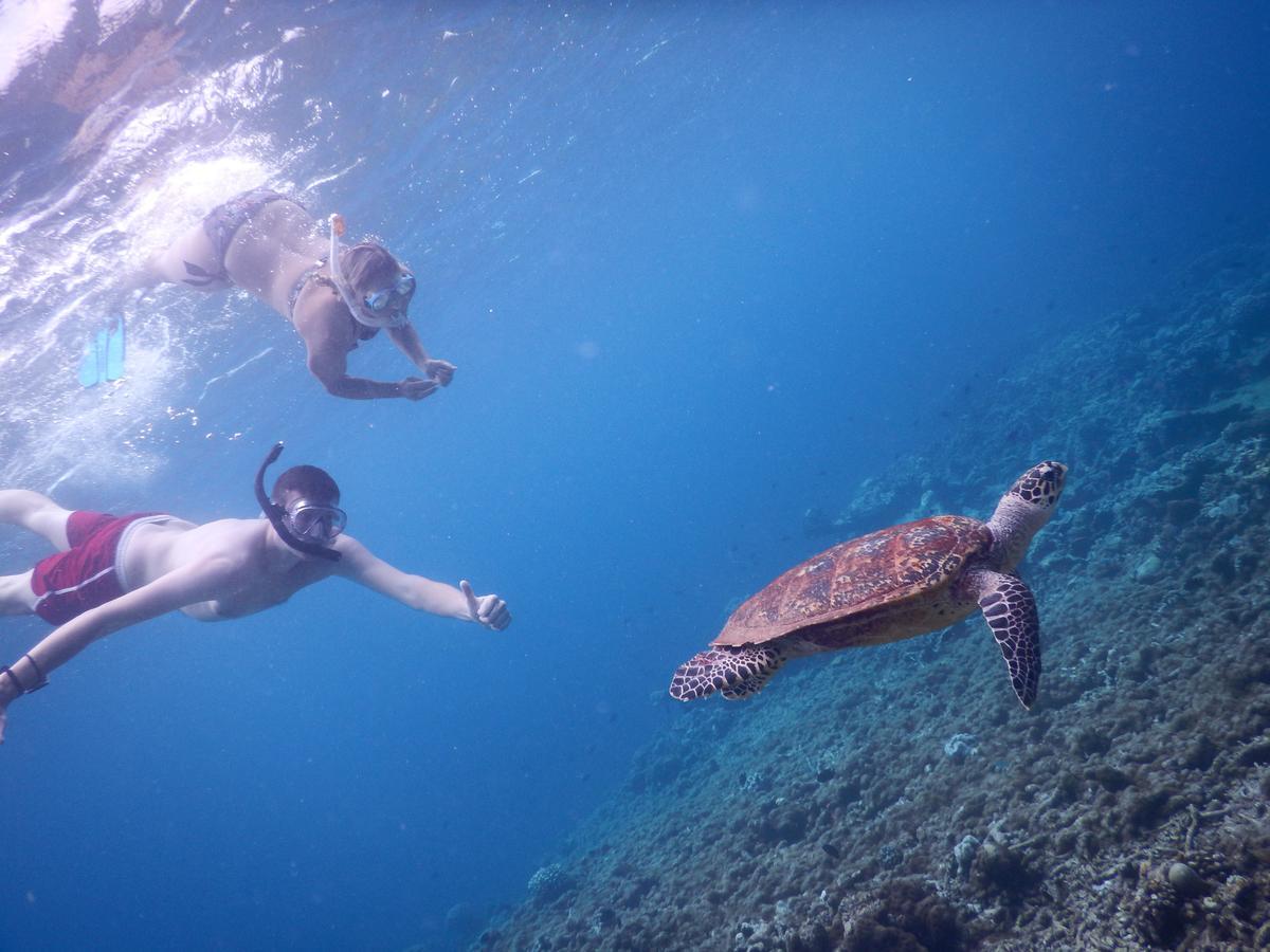 Equa Reef Maldives Hotel Addu City Exterior foto