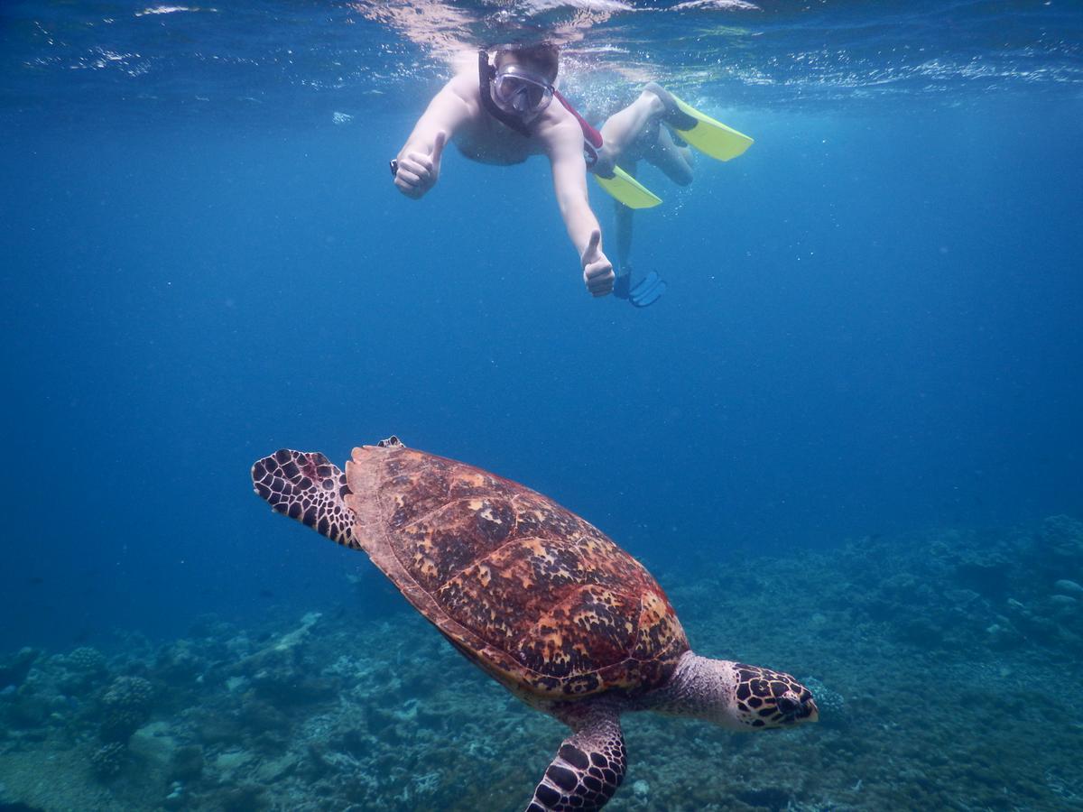 Equa Reef Maldives Hotel Addu City Exterior foto