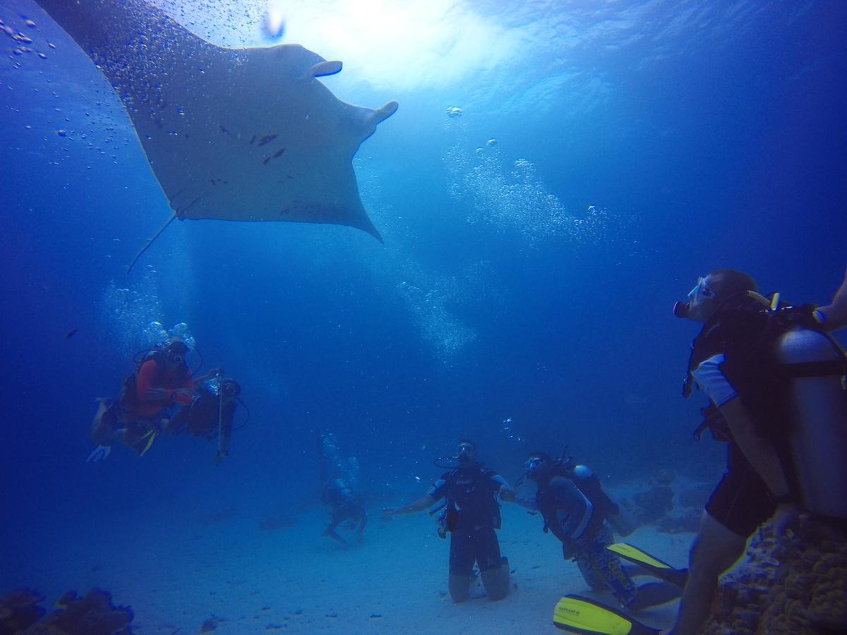 Equa Reef Maldives Hotel Addu City Exterior foto