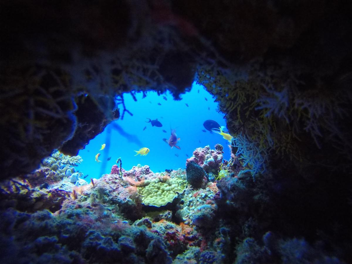 Equa Reef Maldives Hotel Addu City Exterior foto