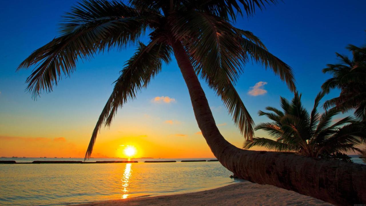 Equa Reef Maldives Hotel Addu City Exterior foto