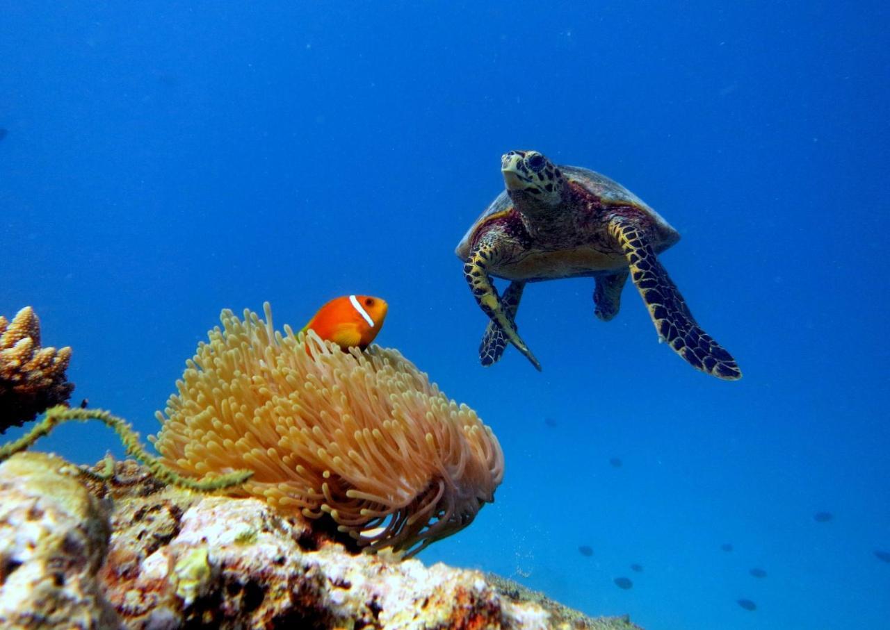 Equa Reef Maldives Hotel Addu City Exterior foto