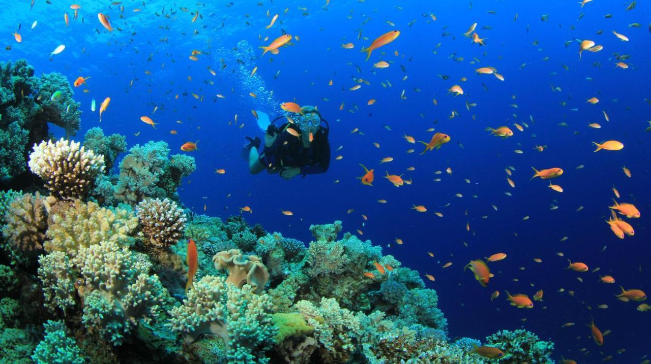 Equa Reef Maldives Hotel Addu City Exterior foto