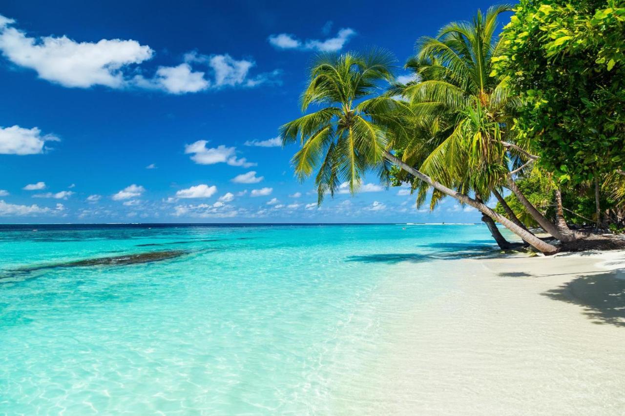 Equa Reef Maldives Hotel Addu City Exterior foto